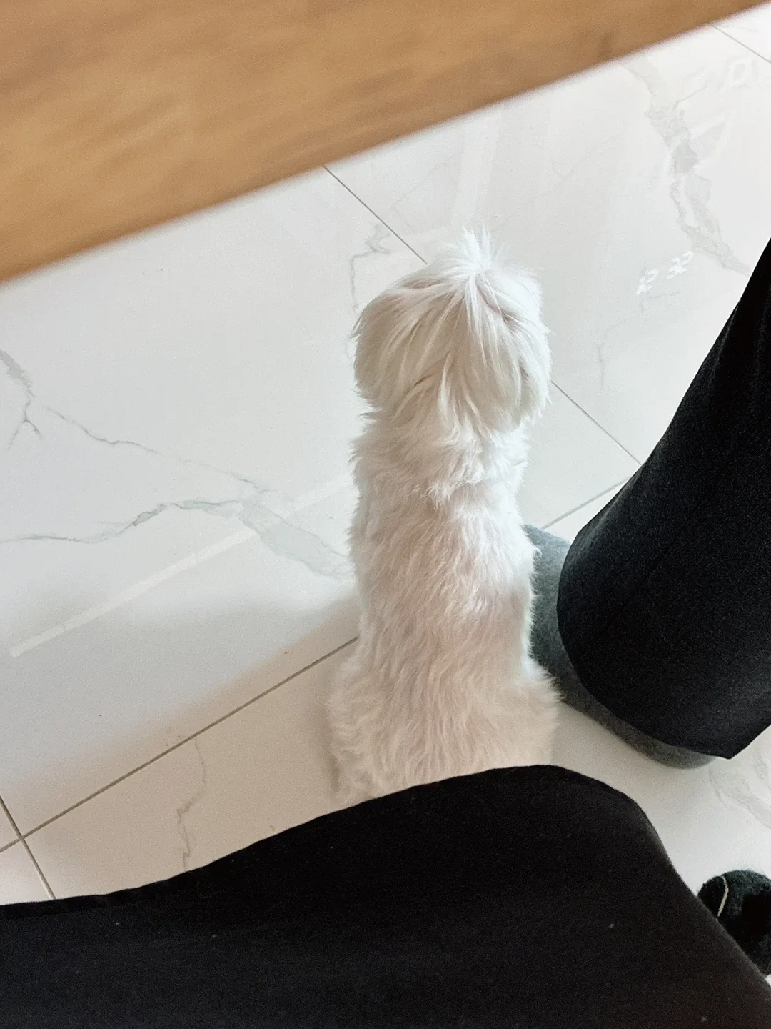 오레오시리얼