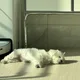 써닝