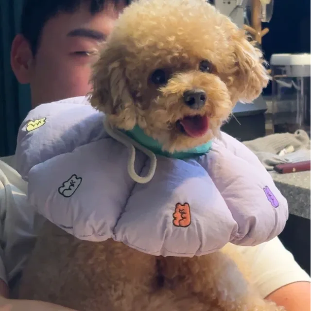 그루밍데이
