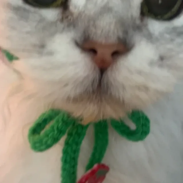 뀨뮤