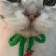 뀨뮤