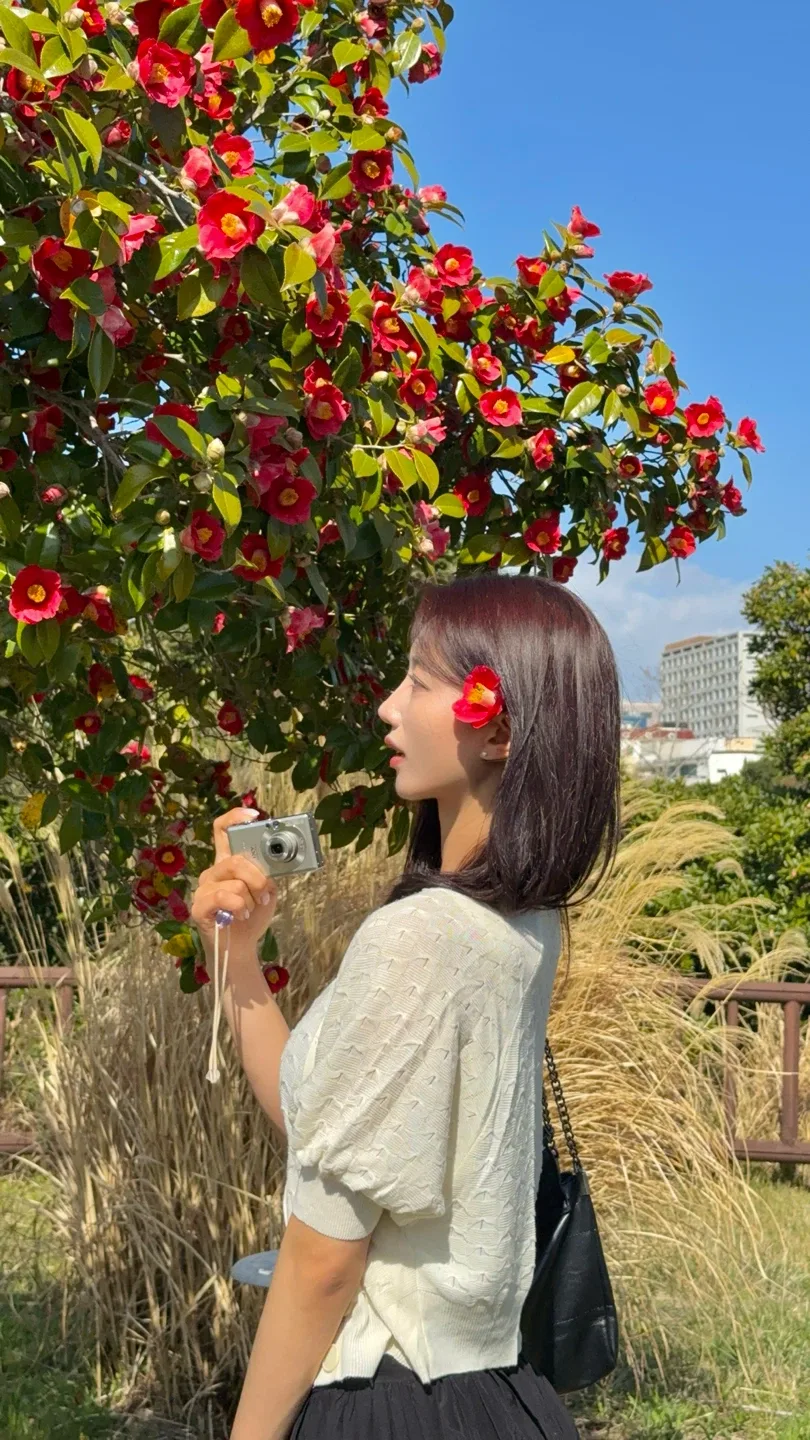 도마도