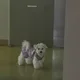 무럭이