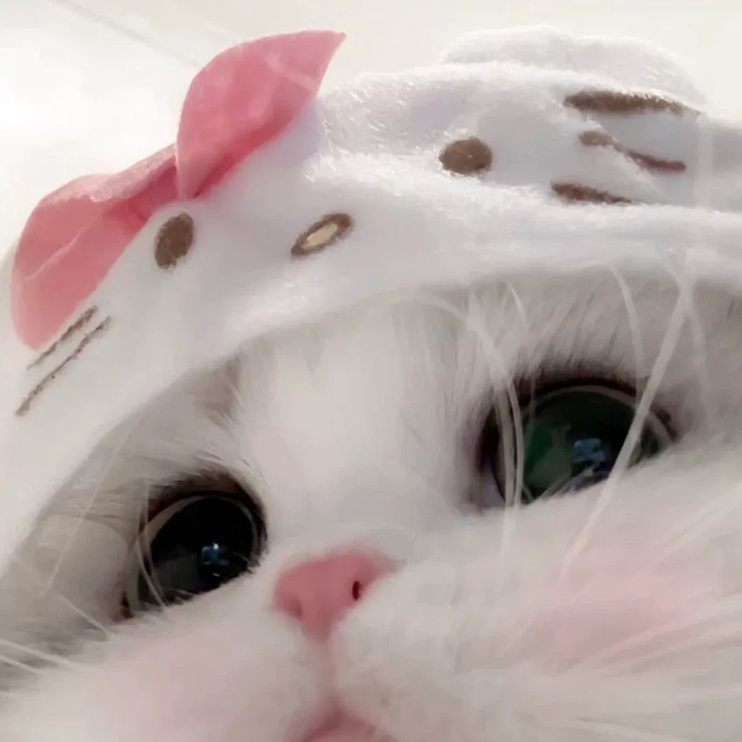 잔망z