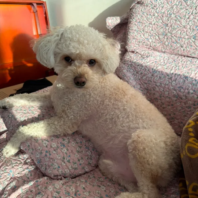 대흥온천