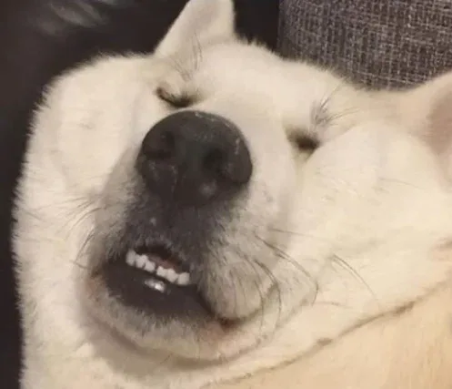 고마훼이