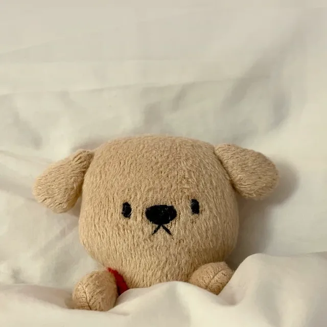 포포