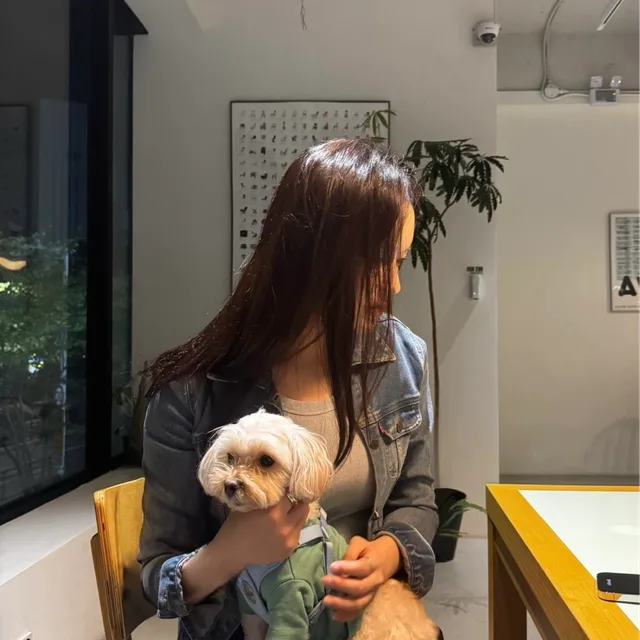 다죽이