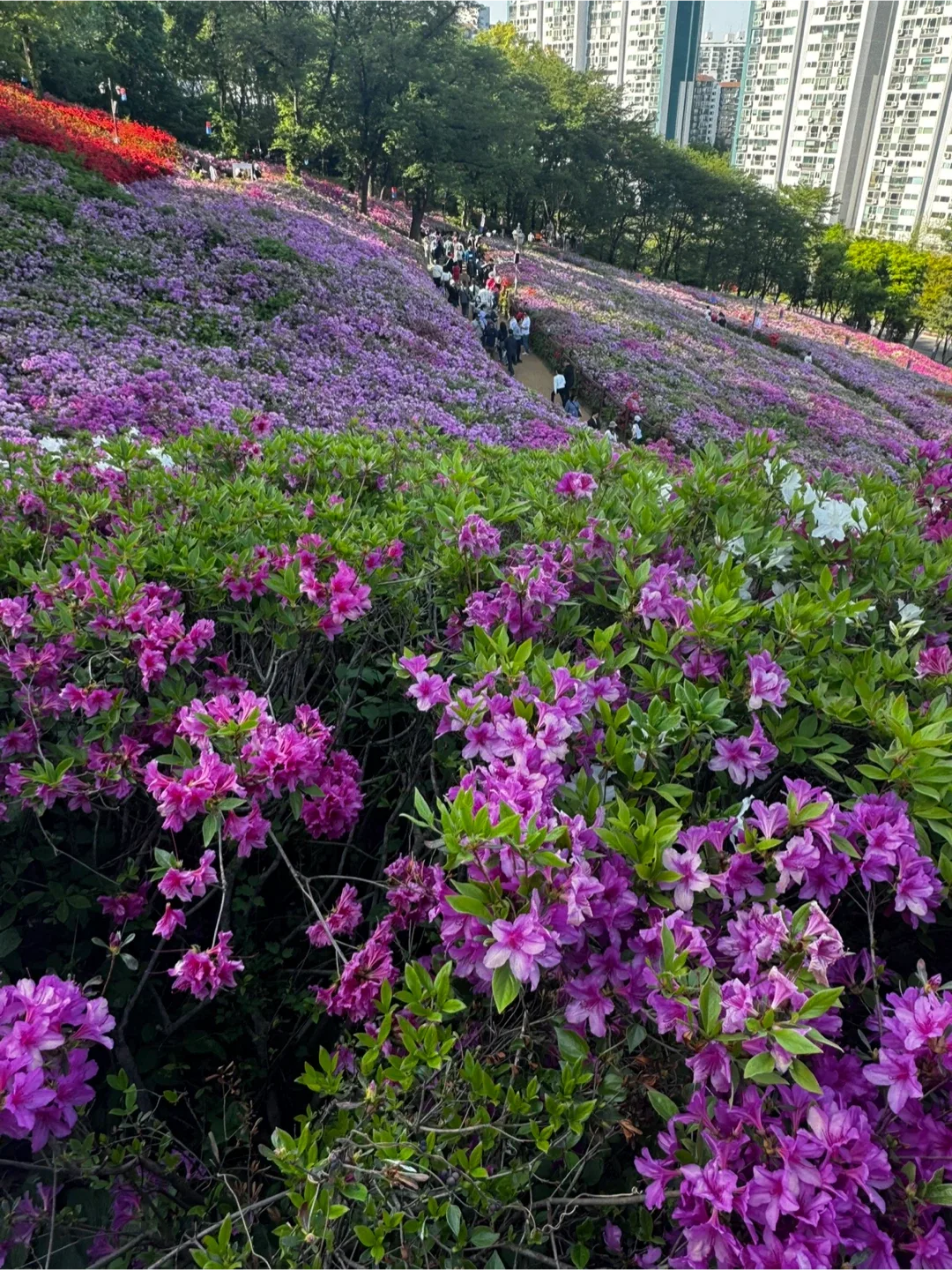 최춘배