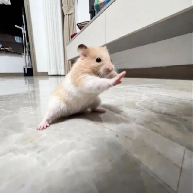 아아