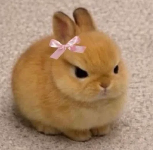 멍뭉뭉