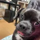 썽쓰콩