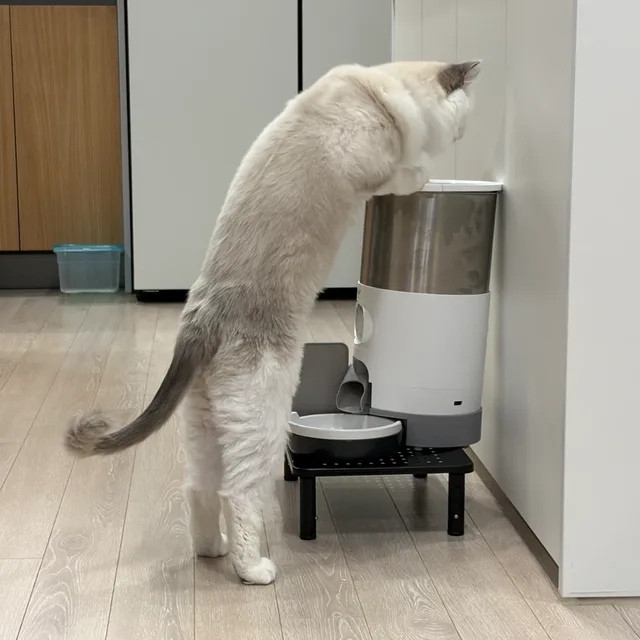 참새가쨋쨋