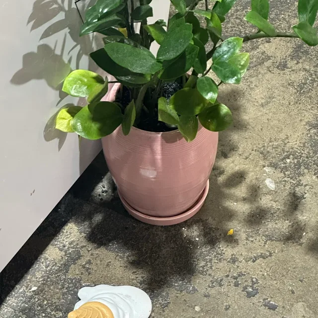 구름
