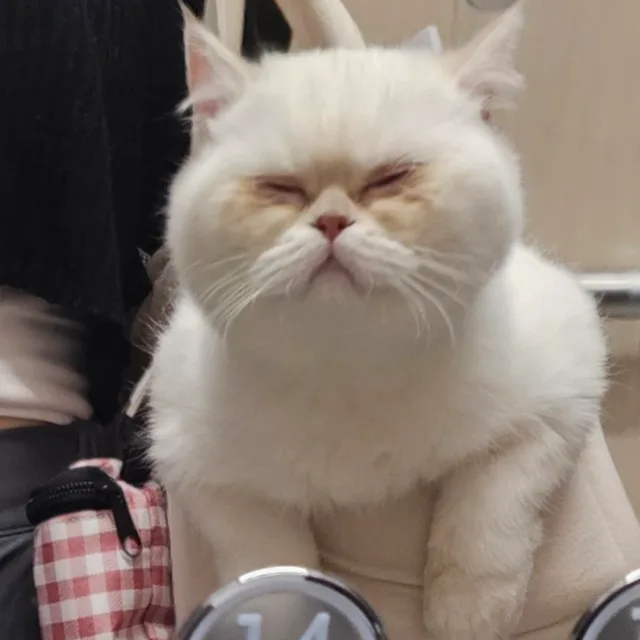 림림