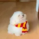 힝그