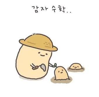 감쟈