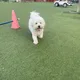 봄이짝꿍
