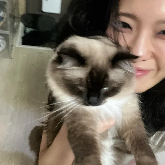 와차