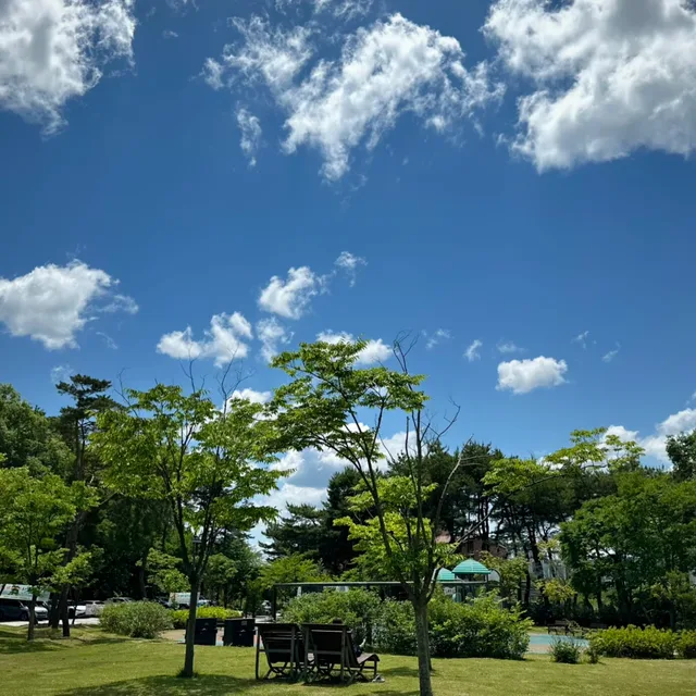 세종특별자치시민