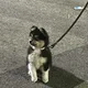 태풍