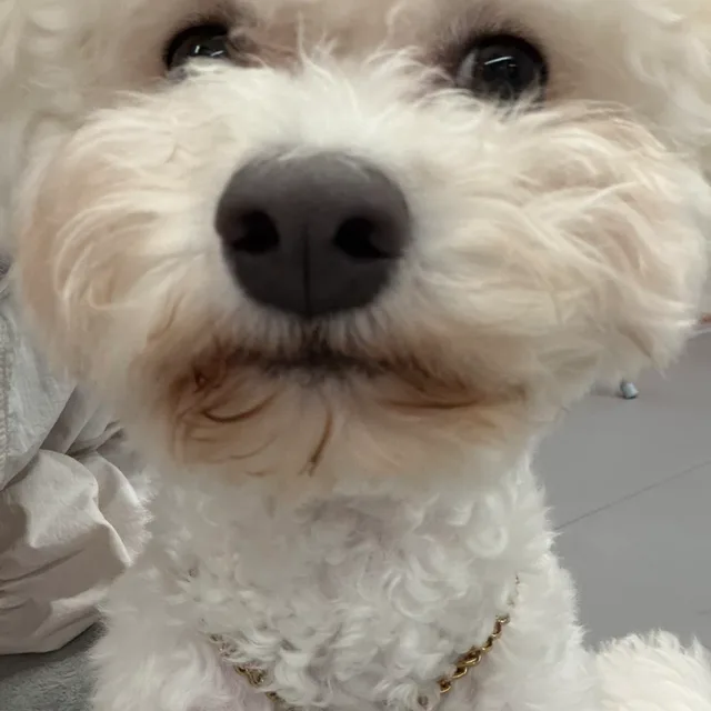 히히