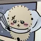 둥둥이