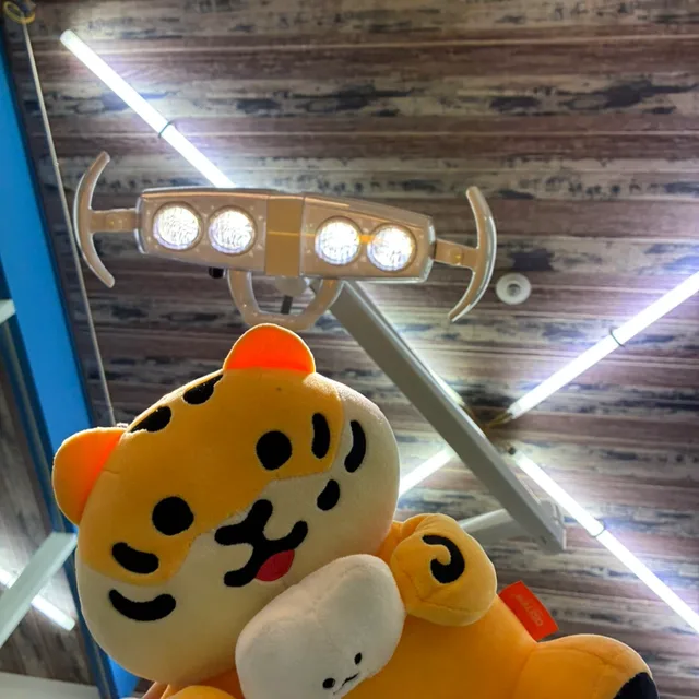 나쵸