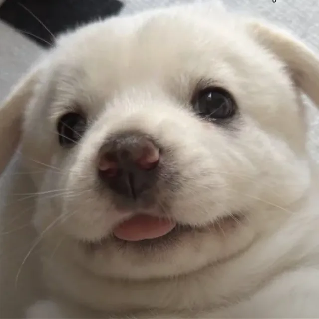 soonmoo