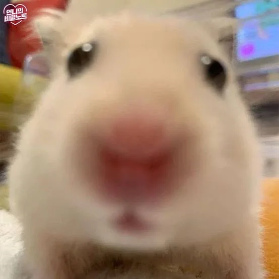 빙빙잉