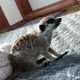 타이어짱