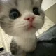 김당근