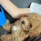 옷좋아하는학생