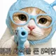 과자냥냥