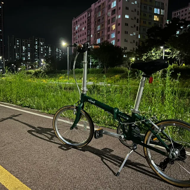 고호