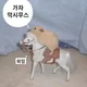 고기굽는햄스터