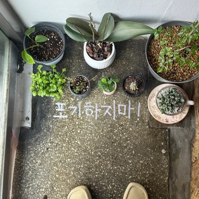 햄민