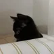 잉잉