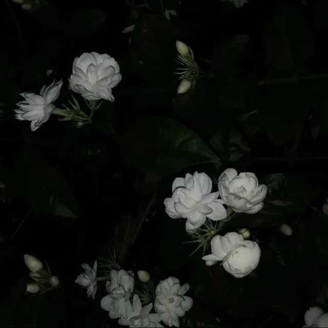 희희