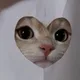 dnw5