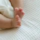 보리