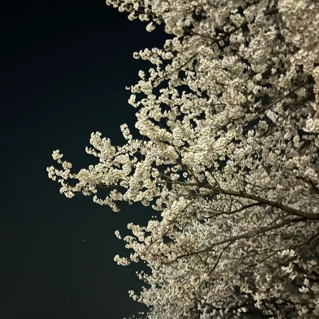 민이수우