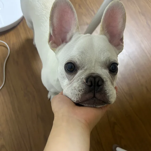 망망