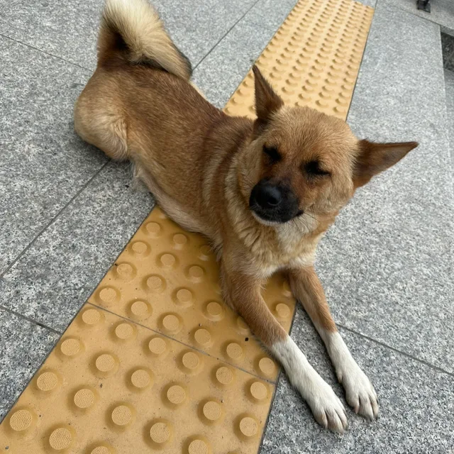 뷰티풀라이프