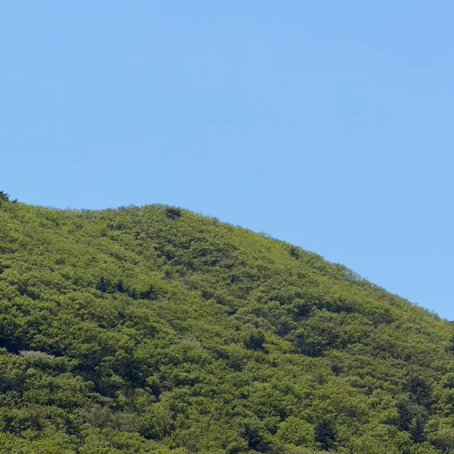 날씨참좋죠