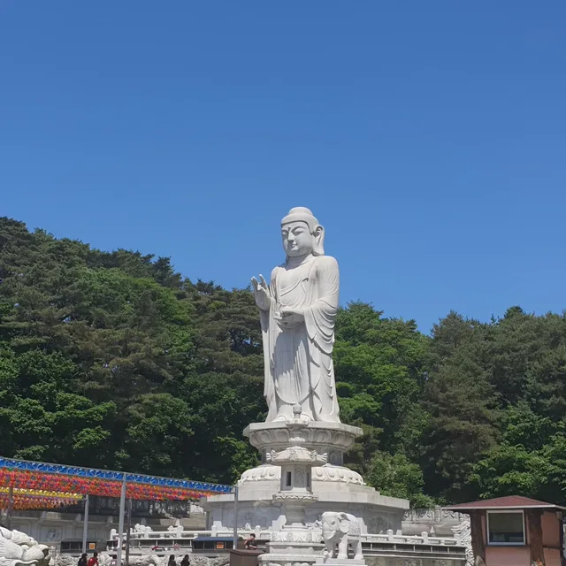 하쿠나마타타