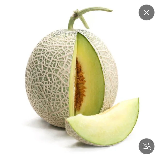 멜론머스크
