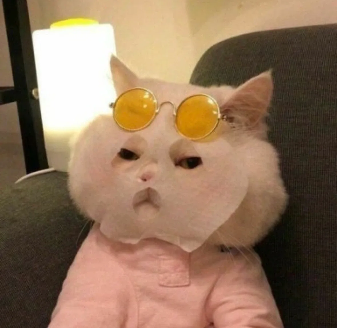 쀼쀼