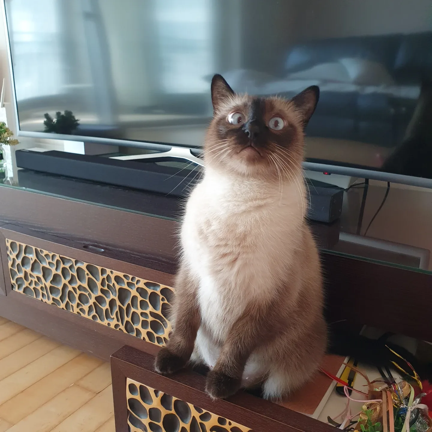 마콩이