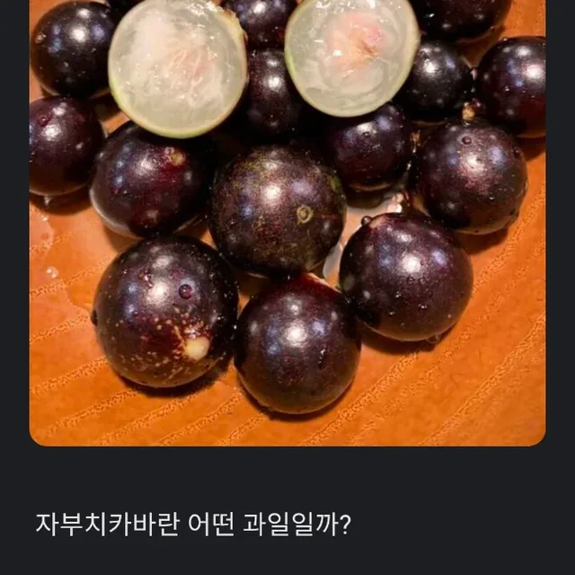 푸르츠